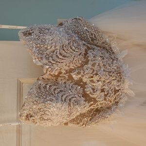 NWT Gorgeous Size 6 strapless wedding dress